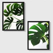 Kit 2 Quadros Costela De Adão 45X34 Com Vidro Moldura Preta