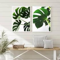 Kit 2 Quadros Costela De Adão 45X34Cm