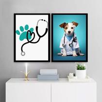 Kit 2 Quadros Decoração Clínica Veterinária 45X34Cm - Vidro
