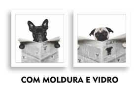 Kit 2 Quadros Decorativos Banheiro Toalete Lavabo Dog Jornal - QuadrosPro