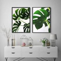 Kit 2 Quadros Decorativos Costela De Adão 34x23cm