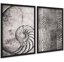 Kit 2 Quadros Decorativos Fibonacci Conchas Cinzas 24x18cm - com vidro Kit 2 Quadros Decorativos Fibonacci Conchas Cinzas 24x18cm - com vidro