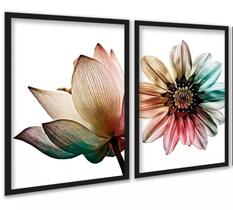 Kit 2 Quadros Decorativos Floral Colorido Arco Iris 33x24cm - com vidro