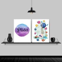 Kit 2 Quadros Decorativos Pilates Bolas 45X34 Moldura Preta