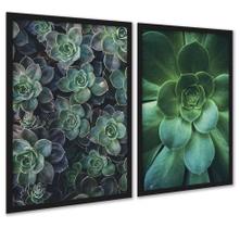 Kit 2 Quadros Decorativos Suculentas 33X24Cm