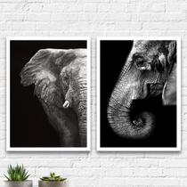 Kit 2 Quadros Elefantes Preto E Cinza 45x34cm - com vidro