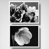 Kit 2 Quadros Flores Horizontais PeB 45x34cm - com vidro Kit 2 Quadros Flores Horizontais PeB 45x34cm - com vidro