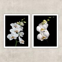 Kit 2 Quadros Fotografia Orquídeas Brancas 24x18cm Kit 2 Quadros Fotografia Orquídeas Brancas 24x18cm