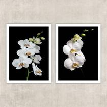 Kit 2 Quadros Fotografia Orquídeas Brancas 33X24Cm - Vidro