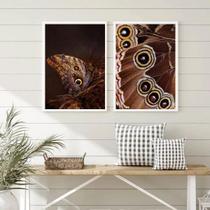 Kit 2 Quadros Fotografias Borboletas- Asas 24x18cm Kit 2 Quadros Fotografias Borboletas- Asas 24x18cm