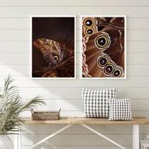 Kit 2 Quadros Fotografias Borboletas- Asas 33X24Cm Kit 2 Quadros Fotografias Borboletas- Asas 33X24Cm