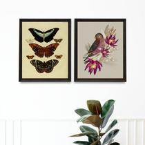 Kit 2 Quadros Para Varanda Pássaro e Borboletas 45x34cm Kit 2 Quadros Para Varanda Pássaro e Borboletas 45x34cm