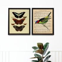 Kit 2 Quadros Pássaro E Borboletas Vintage 45X34Cm - Vidro Kit 2 Quadros Pássaro E Borboletas Vintage 45X34Cm - Vidro