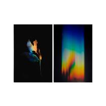 Kit 2 Quadros Tela Canvas Arco Iris Preto Folha Seca Luz Kit 2 Quadros Tela Canvas Arco Iris Preto Folha Seca Luz