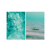 Kit 2 Quadros Tela Canvas Cristal Verde Estrela Do Mar Sala Kit 2 Quadros Tela Canvas Cristal Verde Estrela Do Mar Sala
