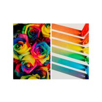 Kit 2 Quadros Tela Canvas Flor Rosa Arco Iris Colorido Sala