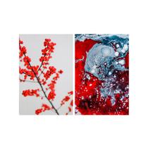 Kit 2 Quadros Tela Canvas Tinta A Óleo Vermelho Cinza Flor