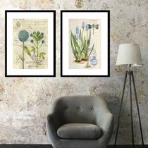 Kit 2 Quadros Vintage Botânica - 60x48cm Kit 2 Quadros Vintage Botânica - 60x48cm