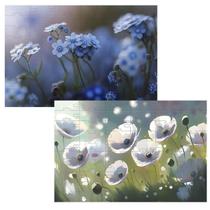 Kit 2 Quebra-Cabeças Atividades Mente As Flores 60 Peças Kit 2 Quebra-Cabeças Atividades Mente As Flores 60 Peças