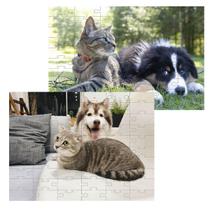 Kit 2 Quebra-Cabeças Atividades Mente Cães E Gatos 40 Peças