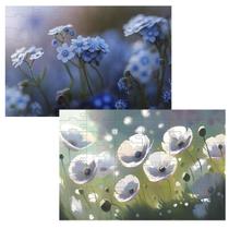 Kit 2 Quebra-cabeças Atividades para Mente As Flores 60 peças