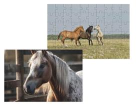 Kit 2 Quebra-Cabeças Atividades Para Mente Cavalos 24 Peças Kit 2 Quebra-Cabeças Atividades Para Mente Cavalos 24 Peças