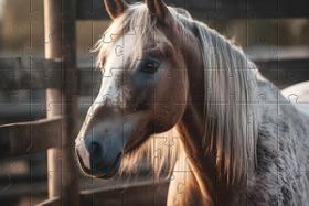 Kit 2 Quebra-cabeças Atividades para Mente Cavalos 40 peças