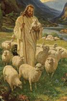 Kit 2 Quebra-Cabeças Cognitivos Bom Pastor 120 Peças Idosos Kit 2 Quebra-Cabeças Cognitivos Bom Pastor 120 Peças Idosos