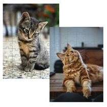 Kit 2 Quebra-Cabeças Cognitivos Gatos Novos 60 peças