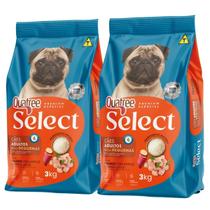 Kit 2 Ração Quatree Select Cães Raças Pequenas Frango 3Kg Kit 2 Ração Quatree Select Cães Raças Pequenas Frango 3Kg