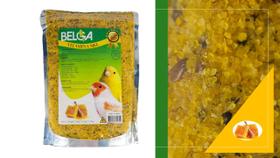 Kit 2 Rações Mistura para Pássaros / Passarinho Canários Pintassilgos de Vitamina com Mel 500g