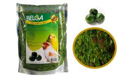 Kit 2 Rações / Passarinho Canários Pintassilgos 500g Vitamina Jiló