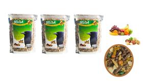 Kit 2 Rações / Passarinho Pássaro Preto Sábia Melros Triturada Mix de Frutas Amendoim 500 g Belga