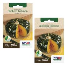 Kit 2 Sementes Abobora Bahiana Tropical Horta Em Casa 2,5g