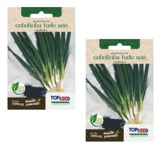 Kit 2 Sementes De Cebolinha Todo Ano Nebuka Allium Fitulosum