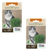Kit 2 Sementes Graminha Grama Para Gatos Saúde Intestinal 1g Kit 2 Sementes Graminha Grama Para Gatos Saúde Intestinal 1g