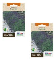 Kit 2 Sementes Lavanda Alfazema Alta Germinação Flores 200mg Kit 2 Sementes Lavanda Alfazema Alta Germinação Flores 200mg