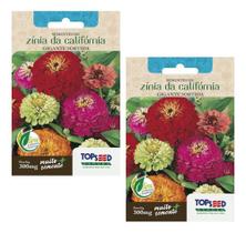Kit 2 Sementes Zinia Gigante Califórnia Da Sortida Para Vaso
