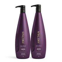 Kit 2 Shampoo 1L Aneethun Defrizante No Frizz System
