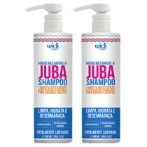 Kit 2 Shampoo Higienizando A Juba Widi Care Limpeza Inteligente Cachos E Crespos 500ml