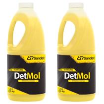 kit 2 Shampoo Lava Carro Trilha Enduro DetMol 1,9 Motocross