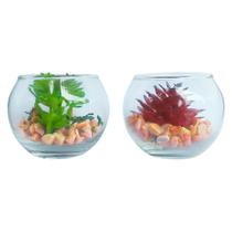 Kit 2 Suculentas em Vasos de Vidro Enfeites Para Bancada 5x5cm
