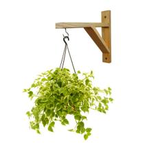 Kit 2 Suporte Para Vaso De Planta Na Parede Gancho Kit 2 Suporte Para Vaso De Planta Na Parede Gancho