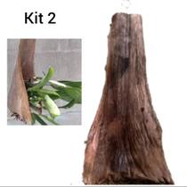 Kit 2 Suportes Rústicos 40cm para Orquídeas Bromélias Folha Coqueiro Natural Kit 2 Suportes Rústicos 40cm para Orquídeas Bromélias Folha Coqueiro Natural