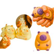 Kit 2 Taba Squish Hamster + 1 Capivara Fofa Slow Moles Viral Kit 2 Taba Squish Hamster + 1 Capivara Fofa Slow Moles Viral