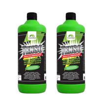 Kit 2 tenso limpa estofados sofá banco carro pisos 1l maxbio