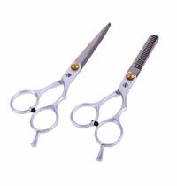 Kit 2 Tesouras Semi Profissionais Fio Navalha 5.5 e Desfiadeira 5.5 Prata