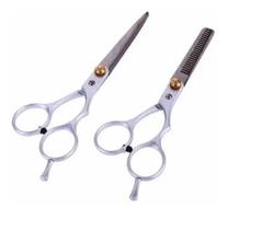Kit 2 Tesouras Semi Profissionais Fio Navalha 6.0 e Desfiadeira 6.0 Prata