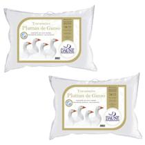 Kit 2 Travesseiros 50x70 100% Plumas De Ganso Daune