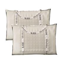 Kit 2 Travesseiros Altenburg Blocke Inteligente Viscoelástico Antirugas e Antialérgico 46x66